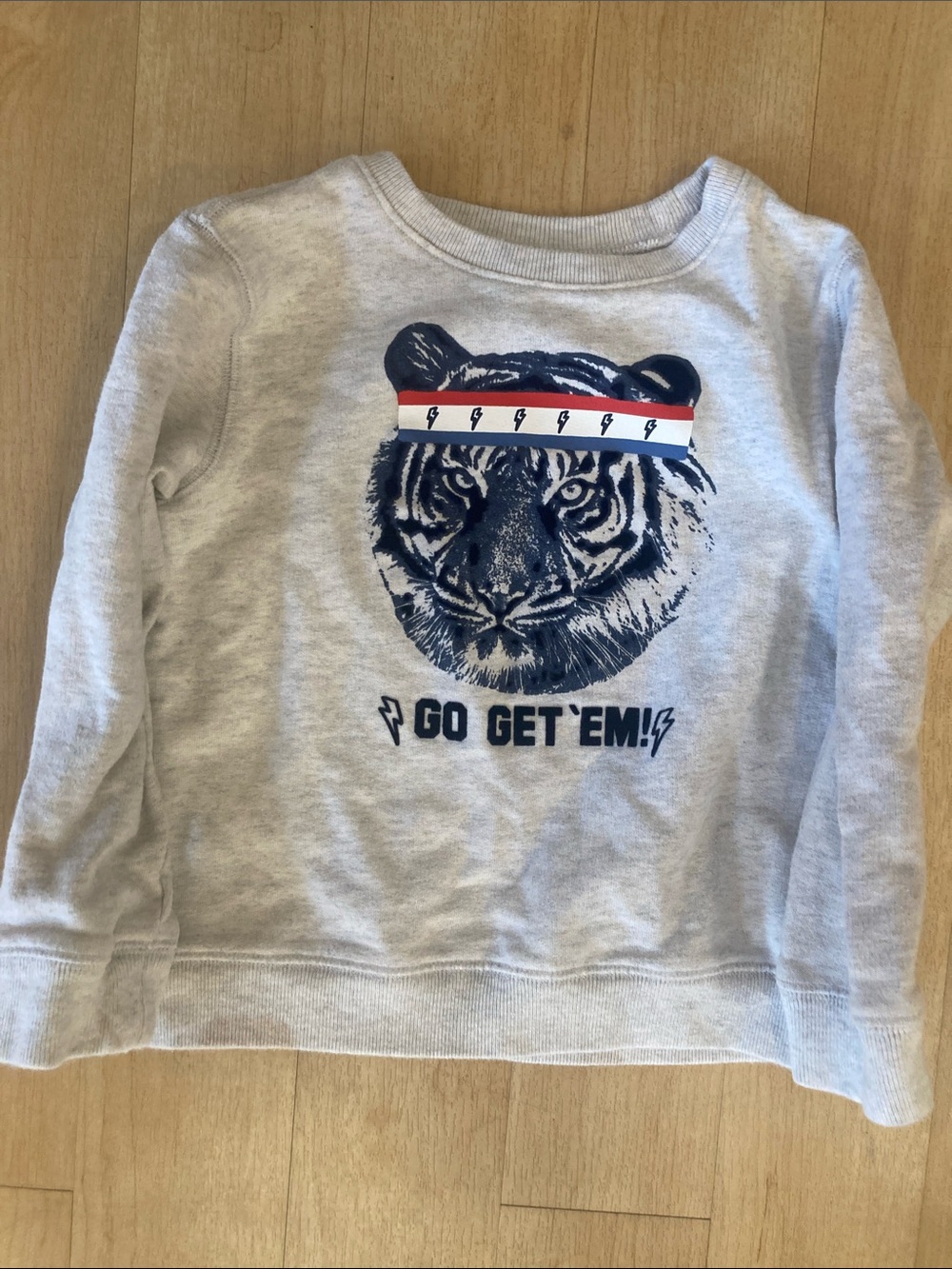 Kids' Light Gray Tiger Graphic Sweatshirt - Go Get 'Em size 7